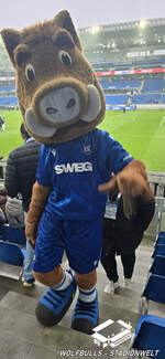 karlsruhe--bbbank-wildpark-5/904028/bbbank-wildpark-karlsruhe--13122025- BBBank Wildpark Karlsruhe | 13.12.2025 | Karlsruher SC - SC Paderborn 07 0:4 | Zuschauer: 28.166