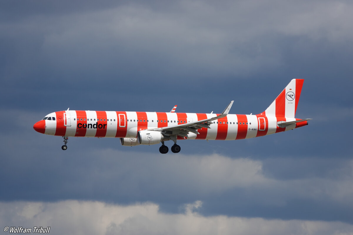 D-AIAA - CONDOR - Airbus A321-211 - Flughafen Frankfurt - 13. Juli 2024