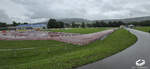 Stadion Unterbach Spaichingen | 02.08.2025 | kein Spiel - Groundhopping | Zuschauer: k. A.